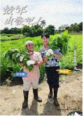 外出住宿：山间特色民宿